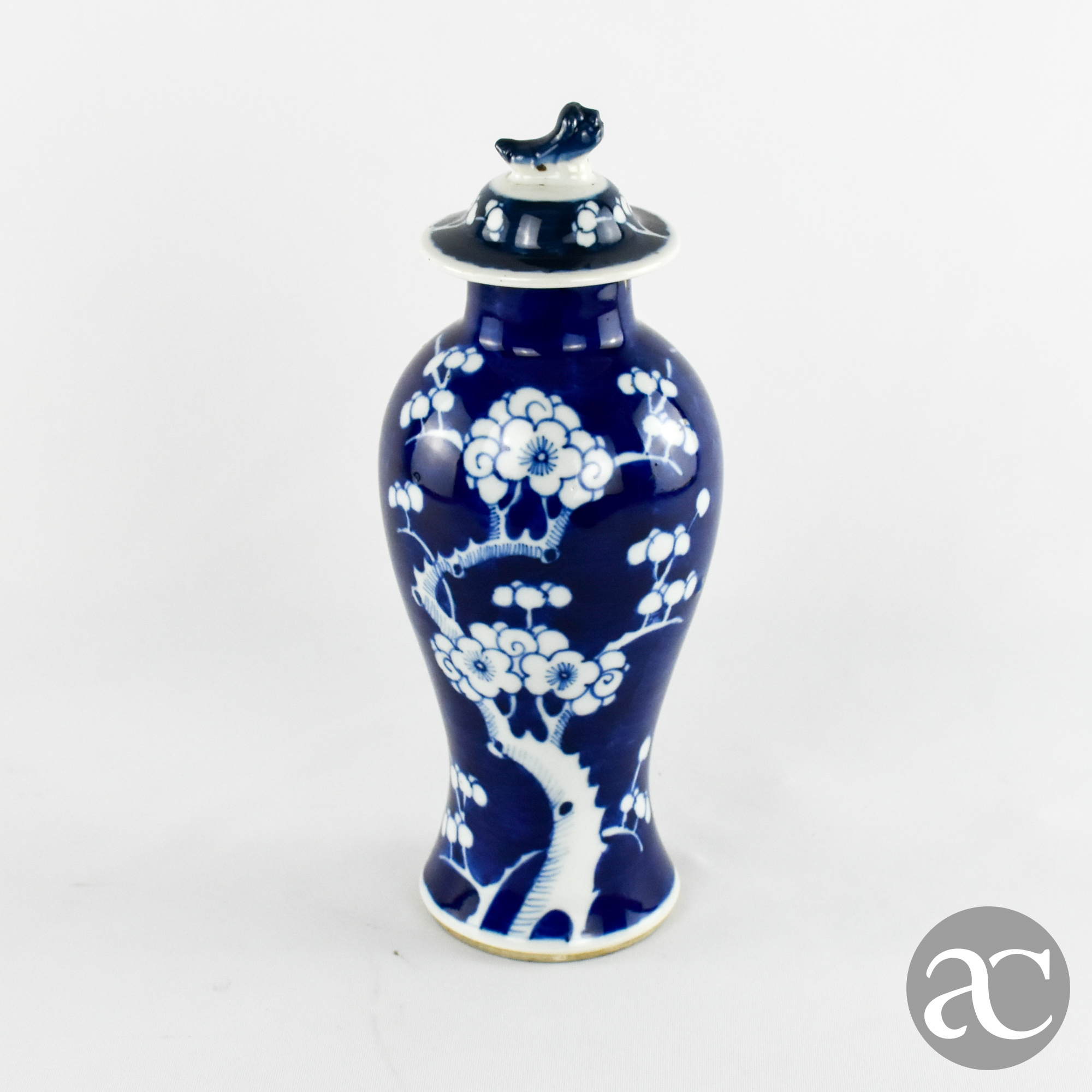 Pote Porcelana da China, Azul-Cobalto, Decoração Flor de Amendoeira Período República AC1858