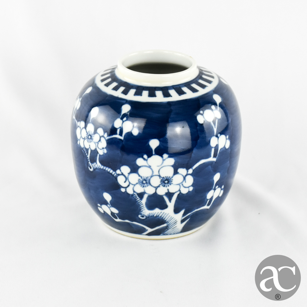 pote de ginjas Prunus AC2167