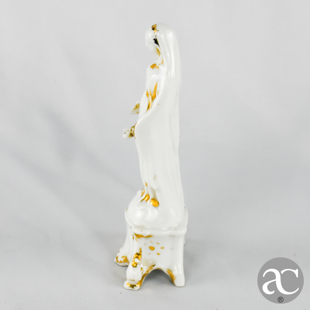 Nossa Senhora Vieux Paris AC2294-9