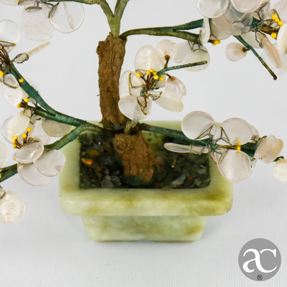 vaso de bonsai jade AC2409-3