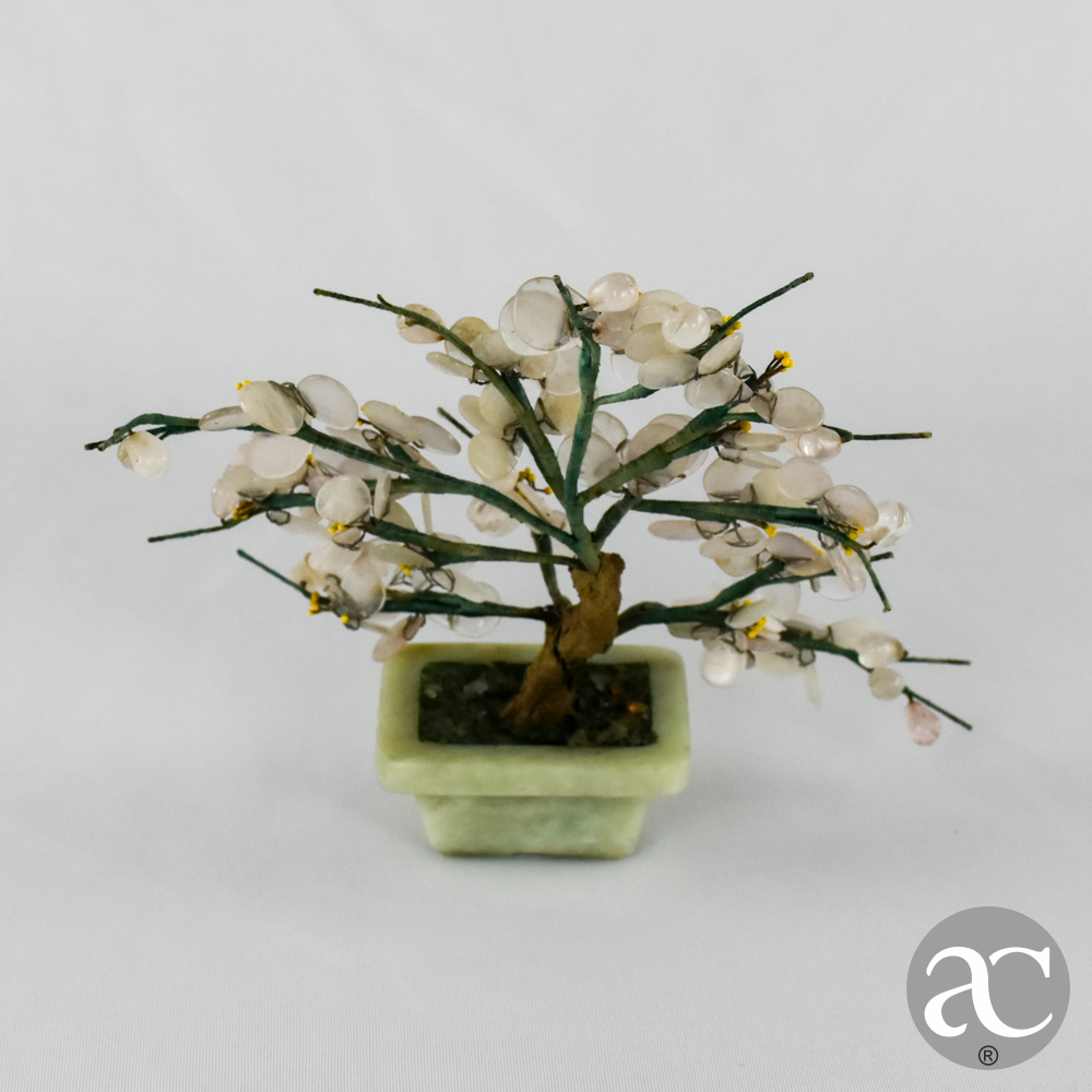 vaso de bonsai jade AC2409-4