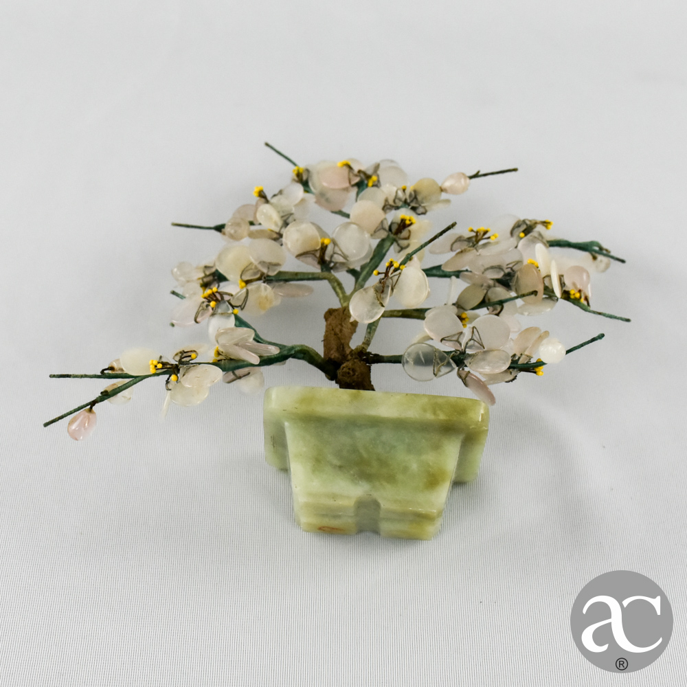 vaso de bonsai jade AC2409-5