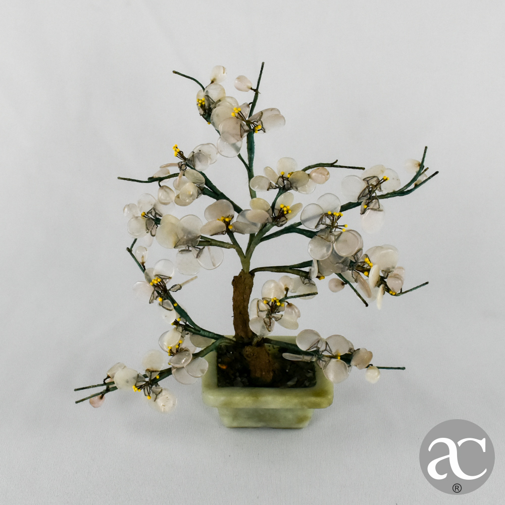 vaso de bonsai jade AC2409